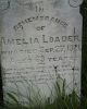 Loader, Amelia (I349)