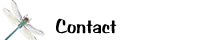 Contact Information